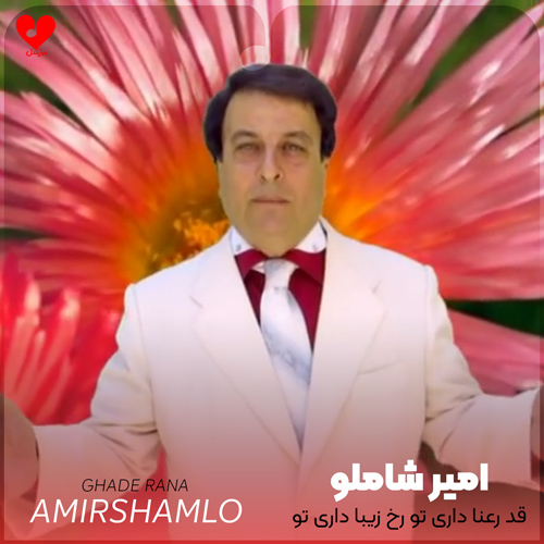 دانلود آهنگ قد رعنا داری تو رخ زیبا داری تو از امیر شاملو
